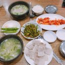 가경이네충무김밥 | 먹부림의 성지, 야구장투어 3. 사직구장(부산)
