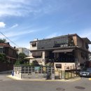 다독(Da Dog) 이미지