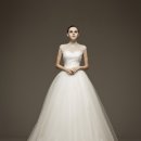 단아한펫 이미지