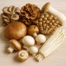 건강더하기헬스 이미지