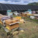 응애농원 이미지