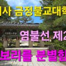 범어사 금정불교대학 염불선 제 29강 무상보리를 분별함 (2) 이미지