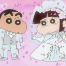 558 헤어 살롱 | 스튜디오 촬영 가성비 헤어변형 연둣빛살롱 계약