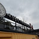 홍시 | 강원도 홍천 애견 동반 파스타집 [홍시] 방문 후기