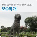 오수펫하우스 이미지