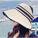 페도라T