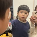 한강동물병원 | 33개월 아기 눈가 찢어짐, 한강수병원 봉합 후기