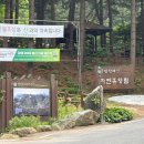 [강원도 횡성 | 국립청태산자연휴양림] 자연 속 힐링...제2휴양관 느티나무 숙박이용후기(250531 방문)