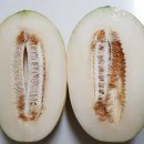 유)파파야 이미지