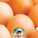 반디농장 이미지