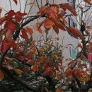 카톨릭병원 이미지