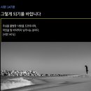 [시편 147편] 그렇게 되기를 바랍니다 이미지