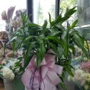 화원노래연습장 이미지