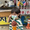 속초회오리감자 이미지