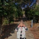 무지개 | 제주 도두봉 두 딸과 함께 다녀온 후기! 무지개 해안도로까지