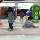 청학 키즈 태권도 이미지