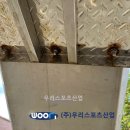 가산초등학교 이미지