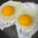 식수선