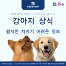 씽씽 동물의료센터 이미지
