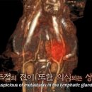 에스농장 이미지