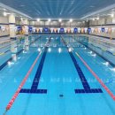 스포렉스 이미지