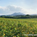 들판농장 이미지