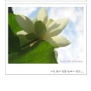 유정아구찜 이미지