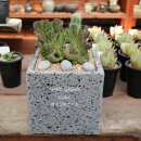 우각농장 이미지