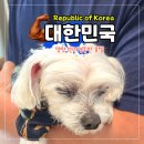 더 낙산호텔(The Naksan Hotel) | 양양 가볼 만한 곳 반려견과 함께한 르부르낙산 호텔