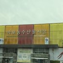 터사랑 이미지