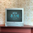 경주 불국사 유스댁, 불리단길 샤브샤브 맛집 내돈내산 후기