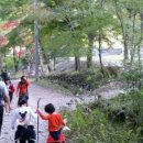 네스트공인중개사사무소 이미지