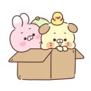 트럭카멀티 이미지