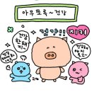 하이진 이미지