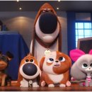 올 마이 펫 이미지