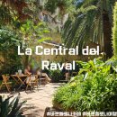 바르셀로나 감성 카페 추천 | 서점 속 정원 La Central del Raval 후기