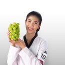 사랑하는 태권도 이미지