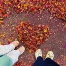 지리산대경캠핑장 이미지