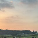 진선목장 이미지