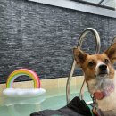 그랑모던풀빌라 이미지