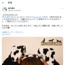 왕클럽