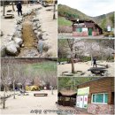 묘솔 | [눈물여왕님] 비오는 날 소백산 묘솔캠핑장에서 콜맨텐트 코쿤와 즐긴 가족캠핑후기
