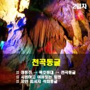 천곡목장 이미지