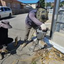 청춘 당구 카페 이미지