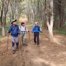 봉림농장 이미지