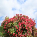 오빠가 간다 이미지