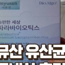 유산균약국 네이버블로그