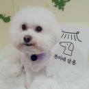 쁜이네 곳간 이미지
