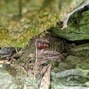 씨돌농장 이미지