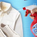 다온세탁 이미지